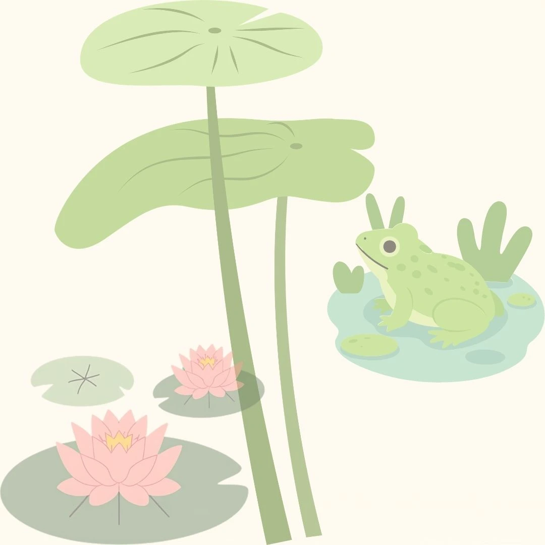 Water lily and frog illustration