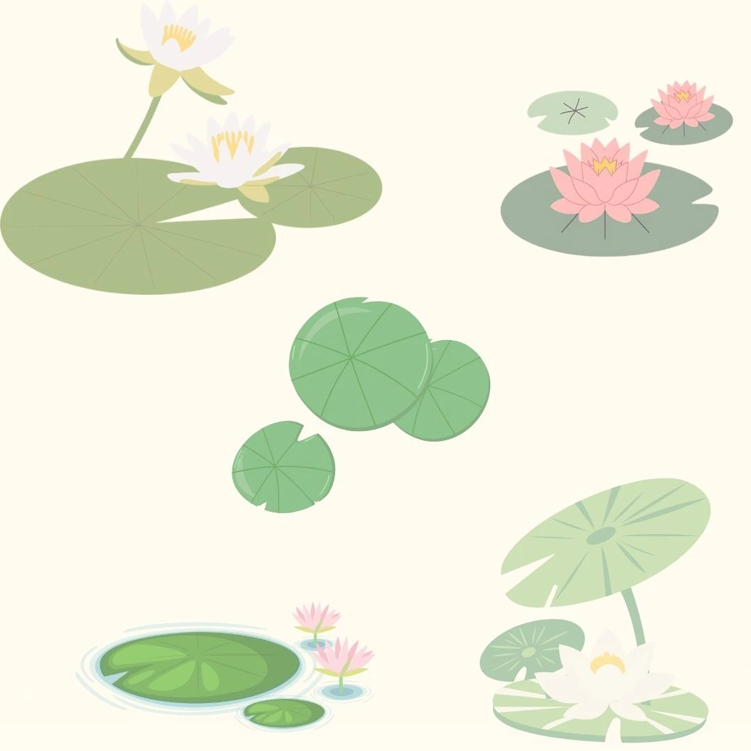 Water lily illustration with floating lily pads